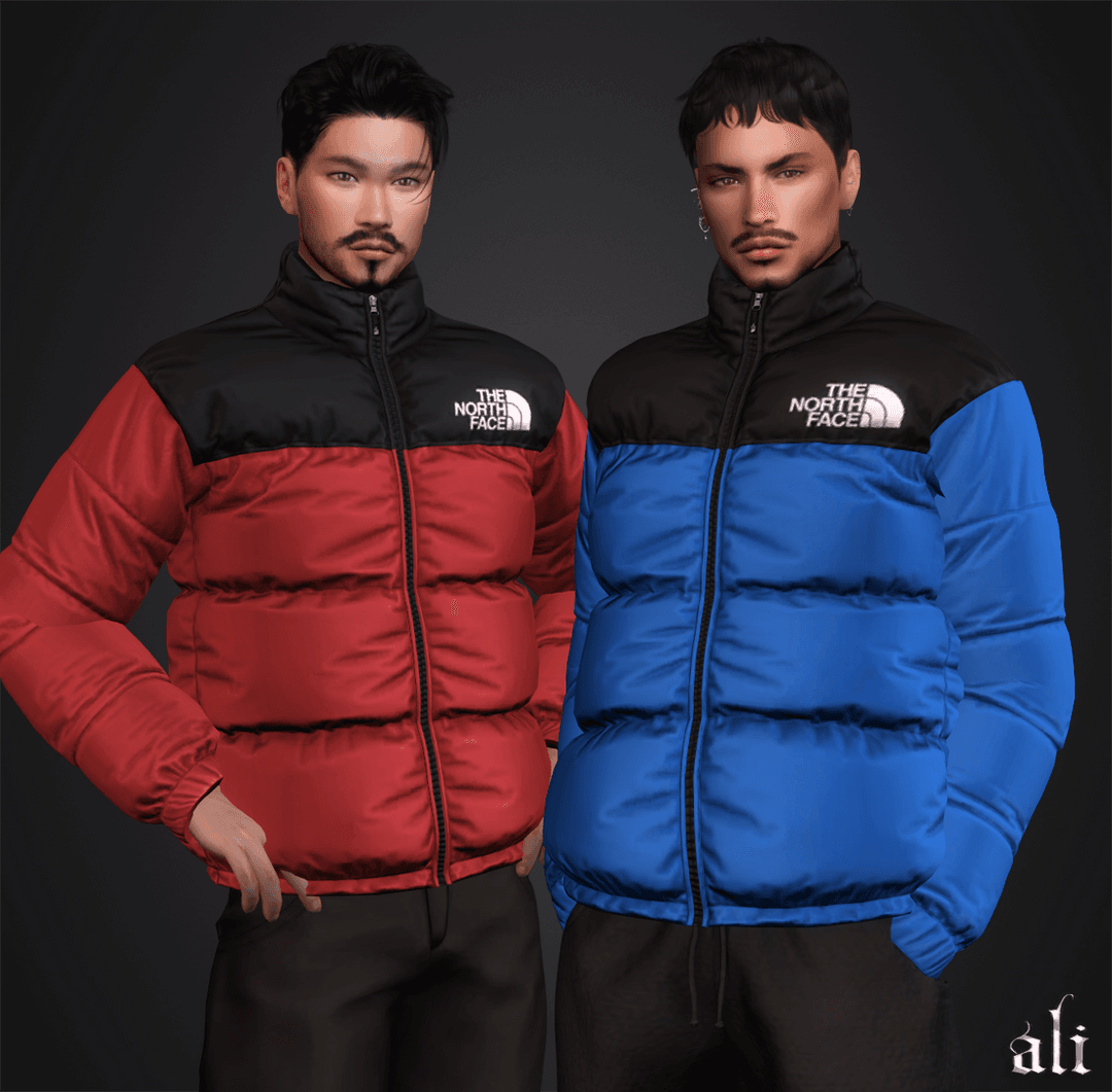 Галерея мода мужская куртка THE NORTH FACE #1